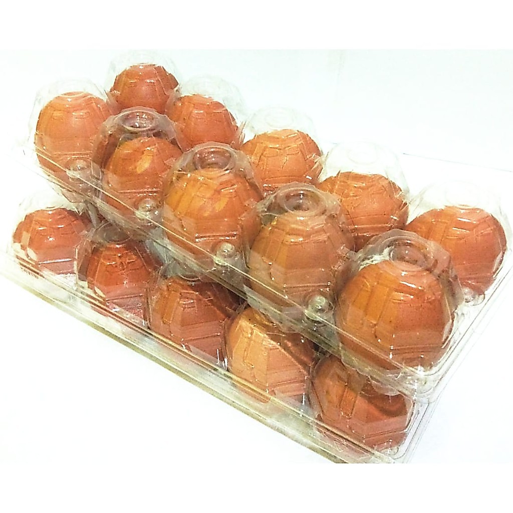 TELUR AYAM NEGERI 10 BUTIR MIKA TELOR