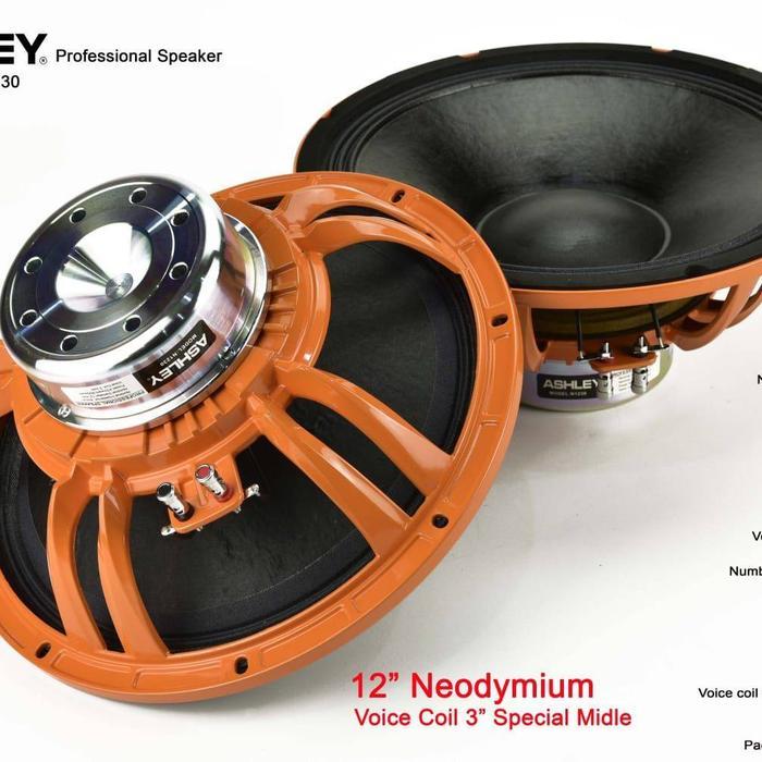 SPEAKER COMPONENT ASHLEY N1230 N 1230 NEODRYMIUM