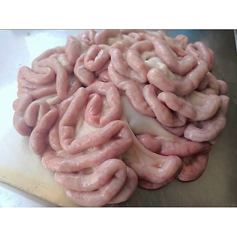 Usus Babi