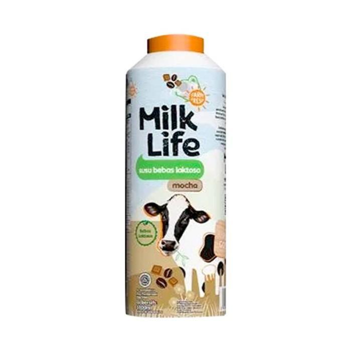 MILK LIFE LACTOSE FREE MOCHA 1 L