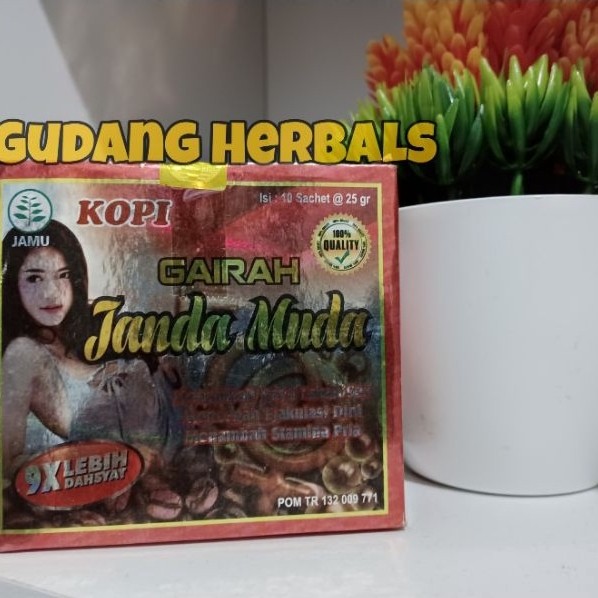 Kopi Janda Muda Gairah Pria