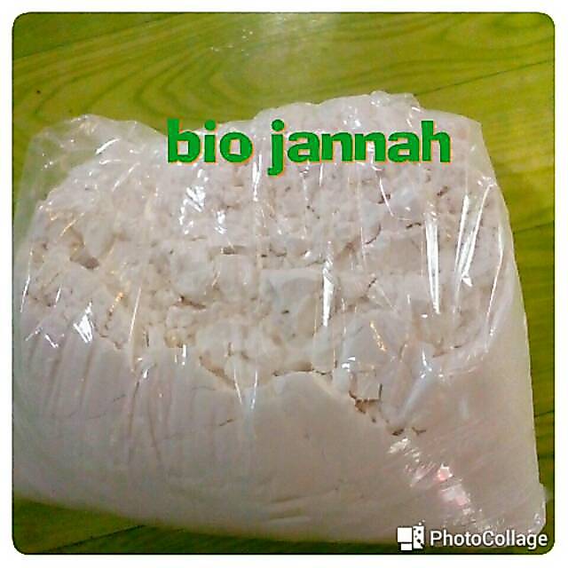 Pati mberut  erut garut 500gr