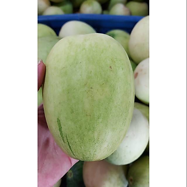 BUAH Timun suri|timun suri|nuri fruits|buah segar bandung|buah timun
