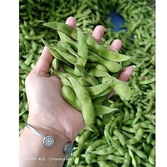 Kacang Edamame Mentah 1 Kg