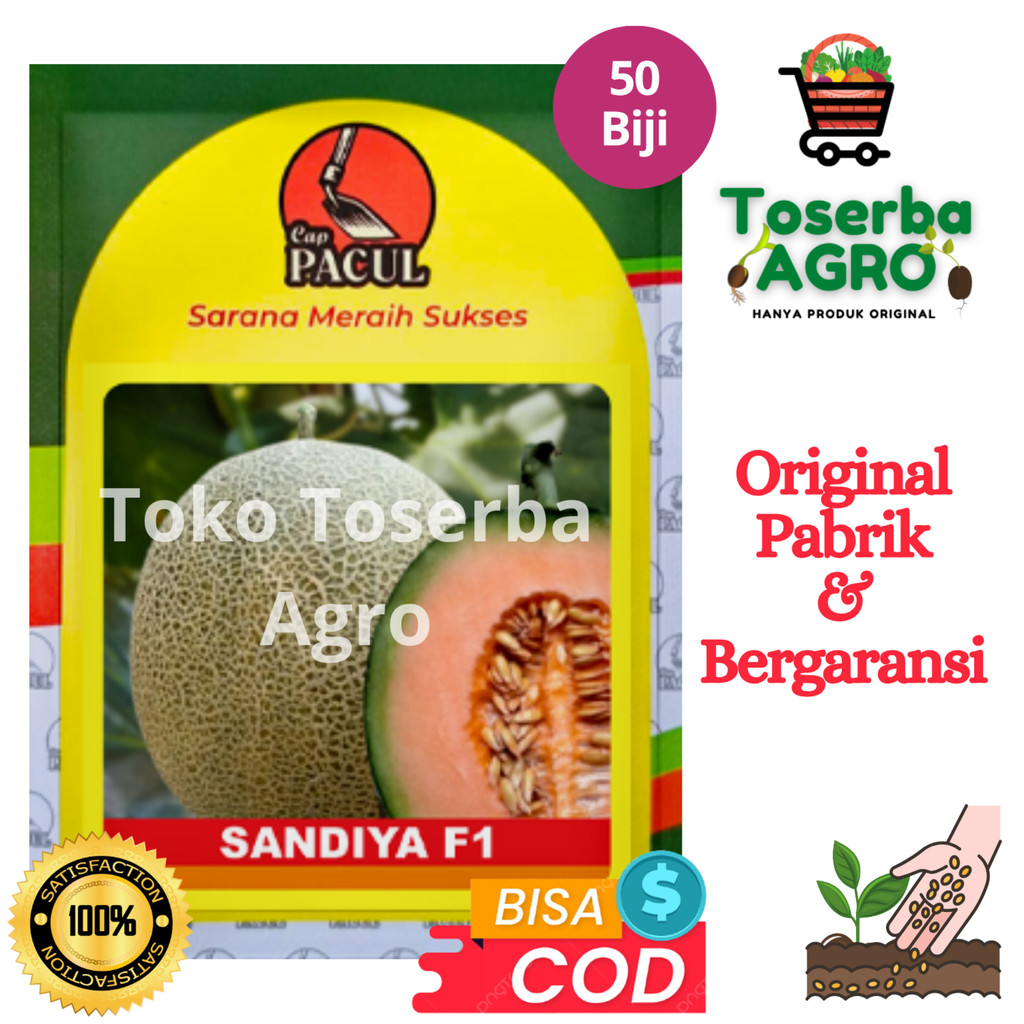 Benih Bibit Rock Melon Cantalope Orange Tahan Virus SANDIYA F1 50 biji Cap Pacul Kujang