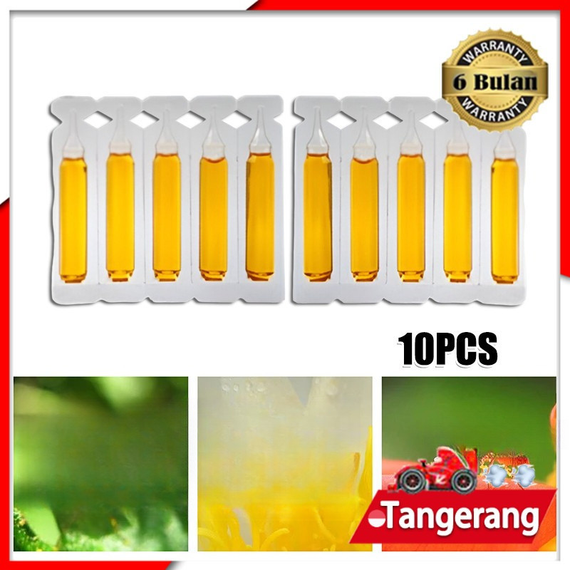 10pcs Fruit Fly Attractant 2ml Trap Bait / Fruit Fly Attractant Liquid