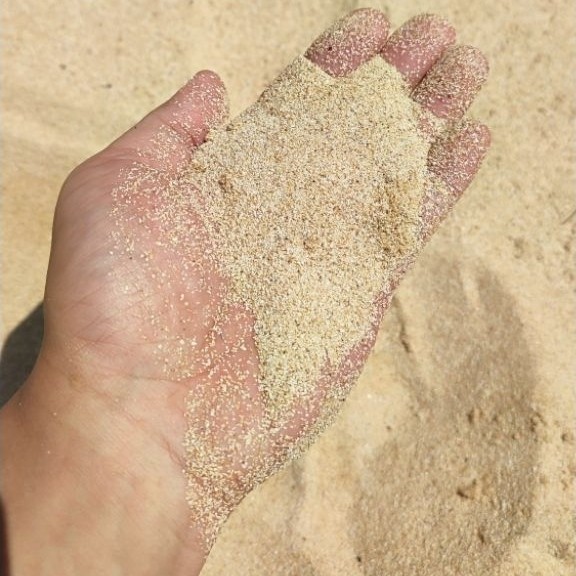 pasir laut premium 1kg harga 2500 rupiah