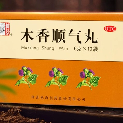 Mu Xiang Shun Qi Wan Merek Zhong Jing