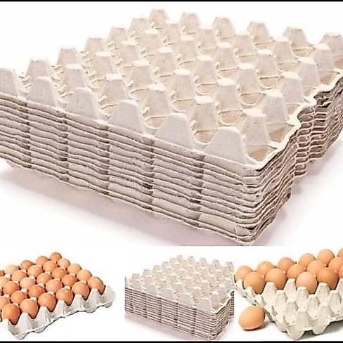 Tray Telur / Egg Tray / Tempat Telur Kardus per 10 Lembar