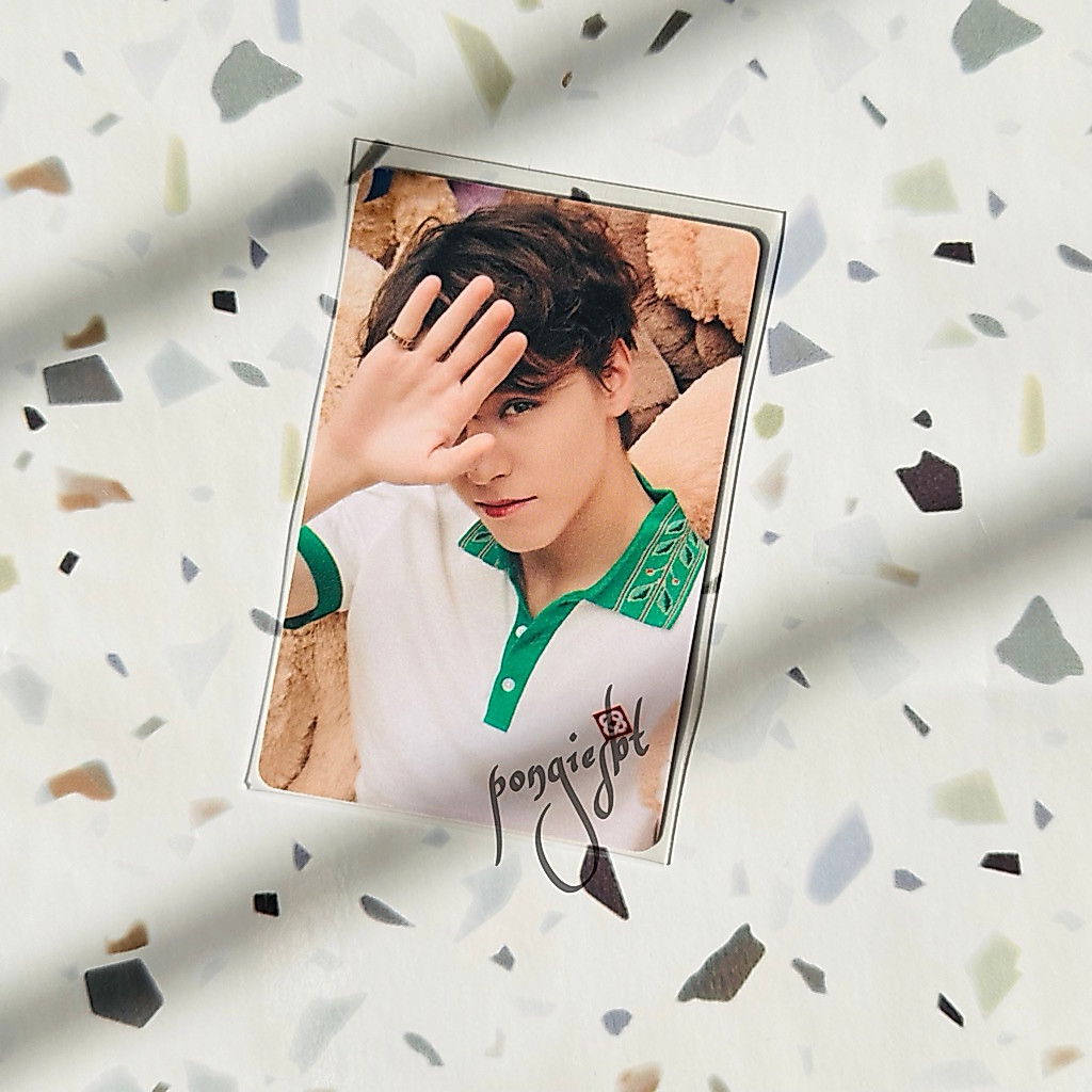 Photocard Official Seventeen Vernon Dicon 101 Bear