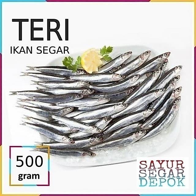 IKAN TERI BASAH