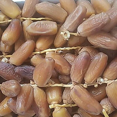 Kurma palm frutt tunisia tangkai kurma tangkai tunisia 1kg