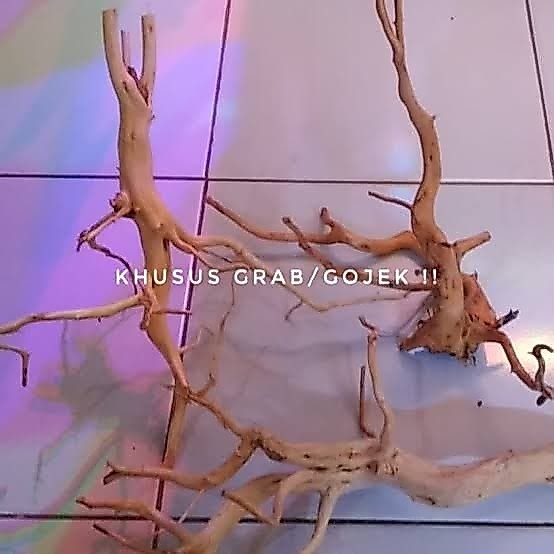 Kayu Aquascape Kisireum Size L