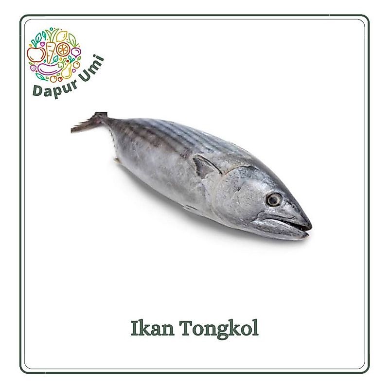 IKAN PINDANG TONGKOL ASIN - IKAN IKANAN SEGAR PURWAKARTA