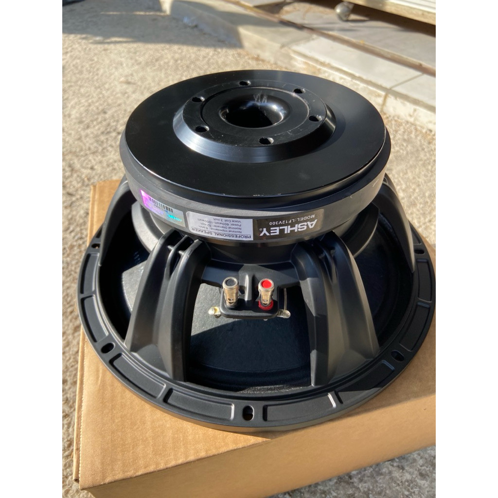 speaker ASHLEY 12inch LFV300/speaker ashley 12inch