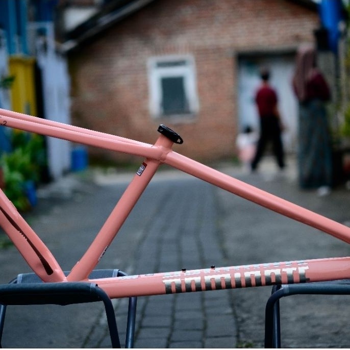 Frame Dominate AXC 2 Elite M 29er