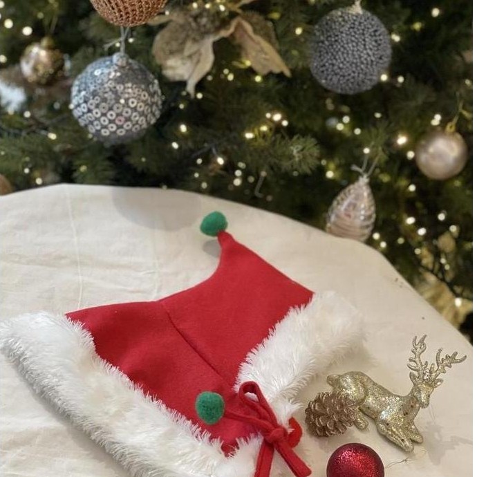Jkt,Cod,Aja- Baju Doggy Natal Christmas Super Quality Red Cape Pawpawsome Projects