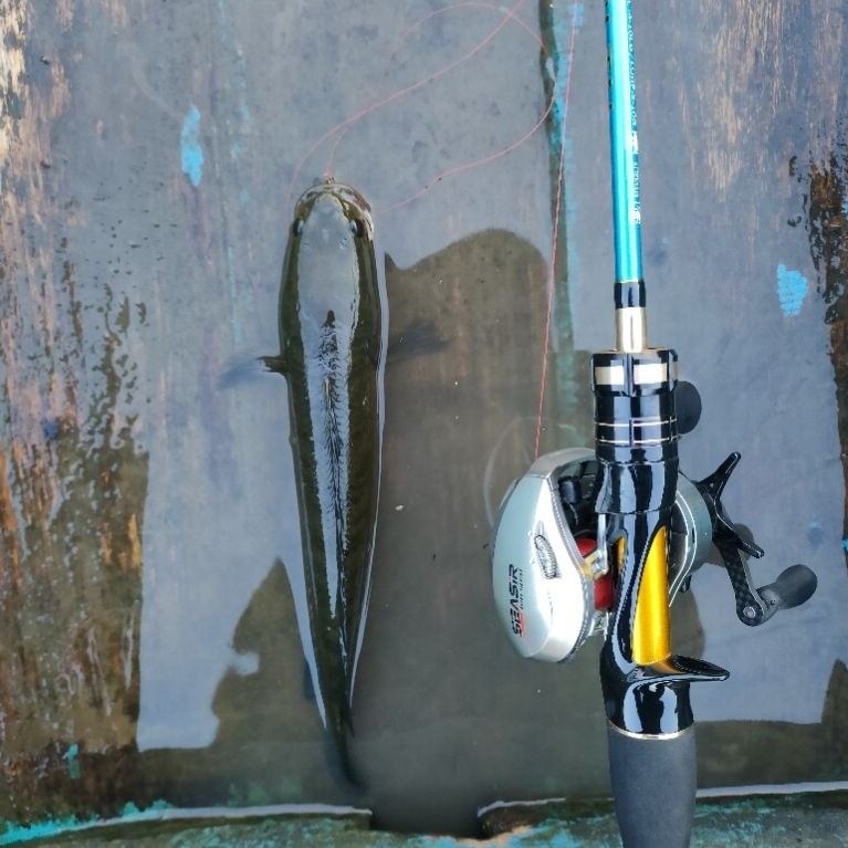 Orca Goblin Extra BC 4-10LB 180cm