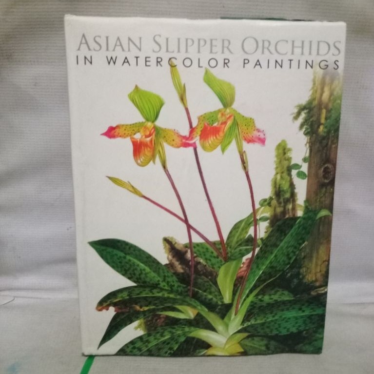 ASIAN SLIPPER ORCHIDS IN WATER COLOR PAINTINGS