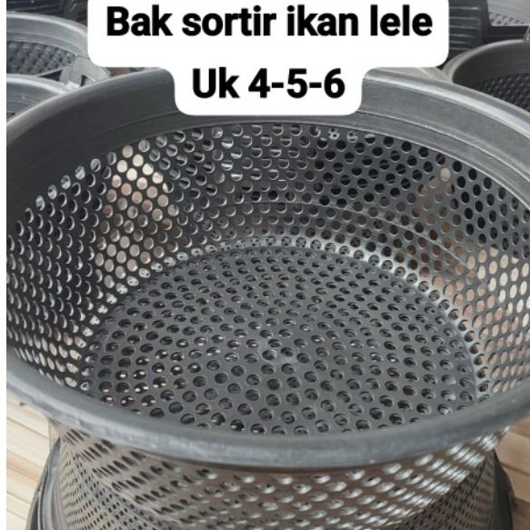 bak sortir lele uk 4-5-6 /ikan lele/ember sortir lele murah/ember lele/ember sortir ikan/ember ayak 