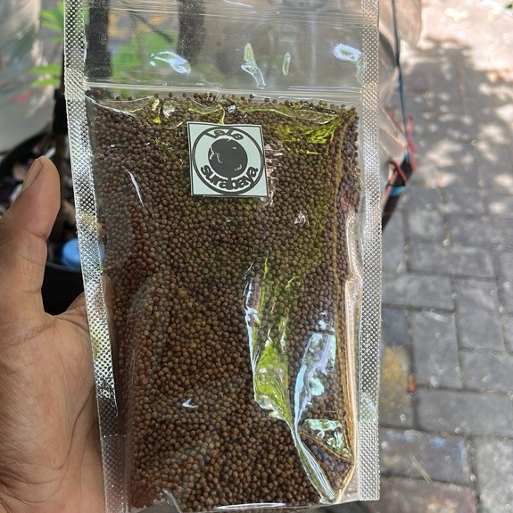 pakan ikan / makan ikan lele, nila, mujaer, ikan hias uk 3-6cm