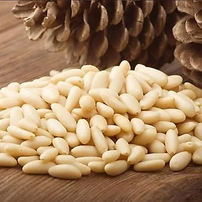 PINE NUTS 500gr