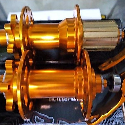 Hub freehub Raze 36 hole jangkrik warna gold