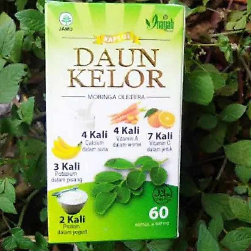DAUN KELOR KAPSUL / MORINGA