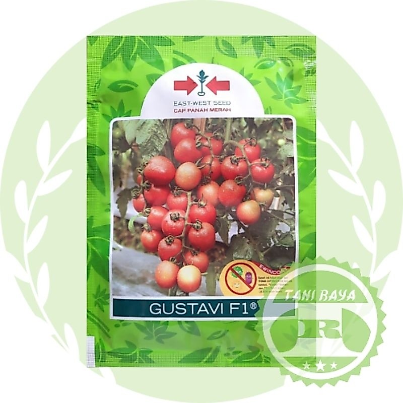 Tomat Gustavi F1 Panah Merah 1750 Butir