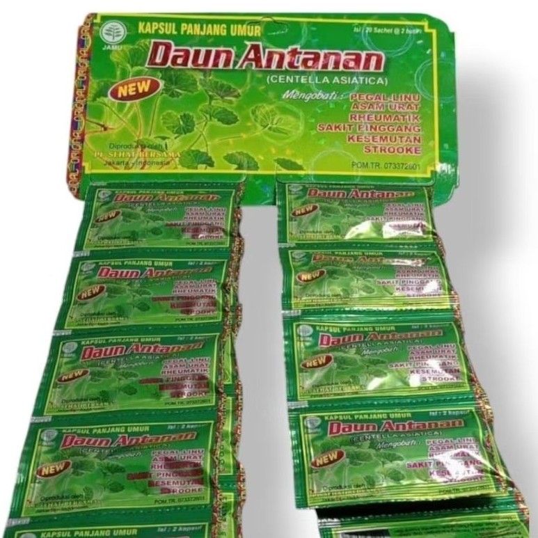 ORIGINAL Kapsul Daun Antanan Original Isi 20 sachet @ 2 Kapsul