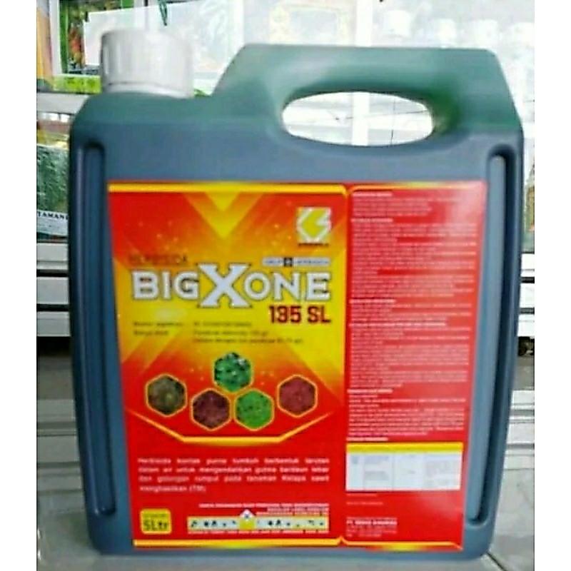 BIGXONE 5 LITER, Obat rumput kontak, PARAQUAT, sejenis dengan NOXONE, GRAMAXONE, TAMAXONE, GALAXONR,