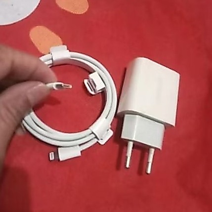 Charger IPhone 11 11 Pro 11 Pro Max Copotan original UGREEN 20 Wat