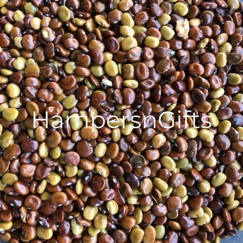 Benih CC Calopogonium Caeruleum Bibit Tanaman / Biji Kacang Kacangan Fashionwear