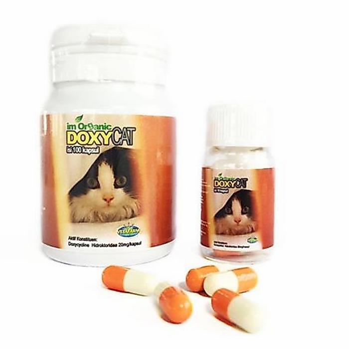 Obat Flu Kucing Doxy Cat 1botol 100 Kapsul DoxyCat Im Organik Doxy Cat