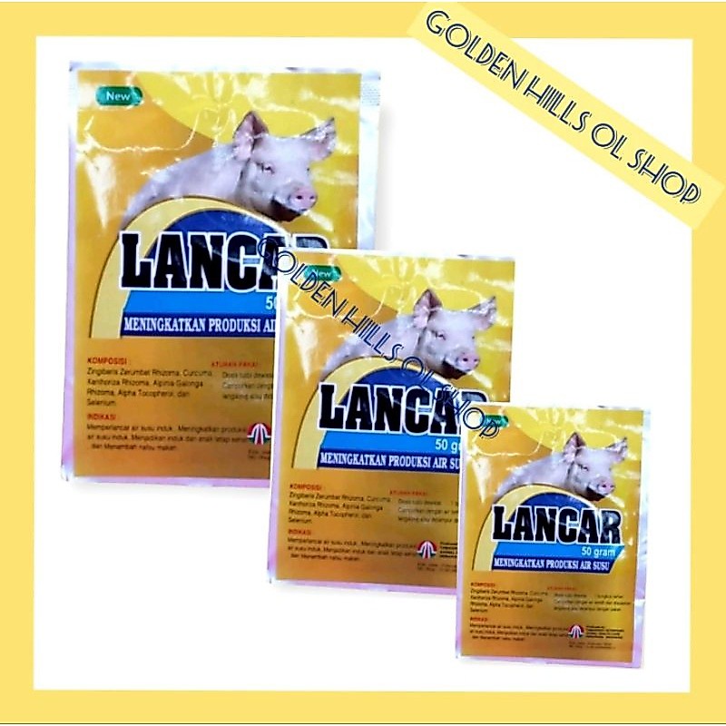 Lancar Babi 50 gram jamu meningkatkan produksi air susu induk babi