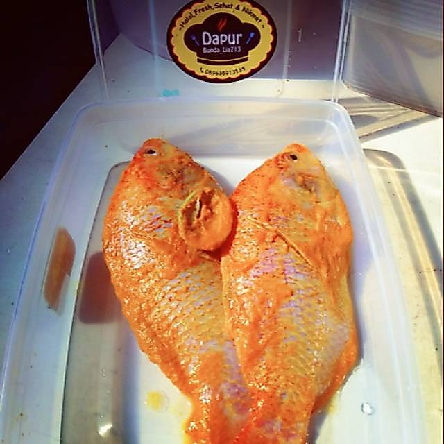 Ikan Nila Bumbu Kuning siap Goreng/Dapur Bunda_Lia 713