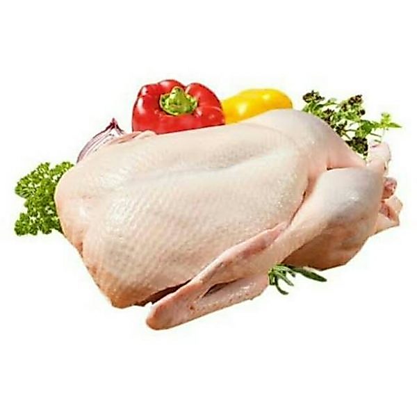 BEBEK FROZEN 1 EKOR 1KG