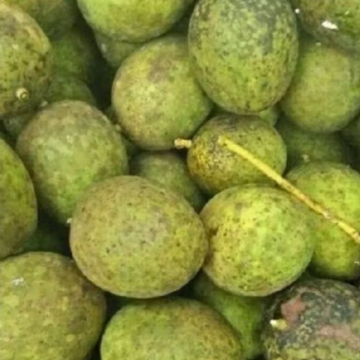 buah limus segar/buah pakel1kg