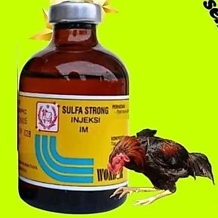 Terlaris Injeksi Sulfa Strong Obat Ayam Sakit Crd Nd Kotoran Hijau Putih Ngorok Bengkak By Wonder