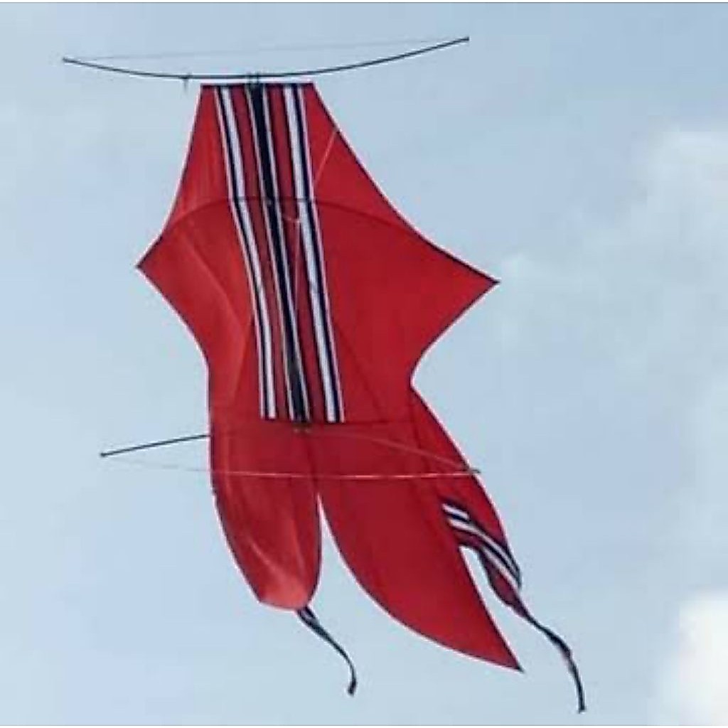 SkyRider Kite