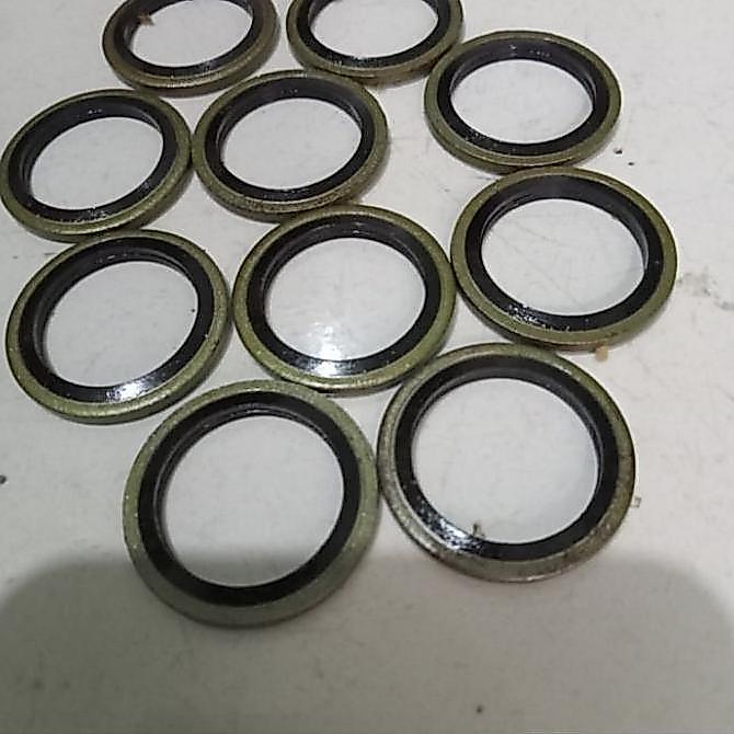 Ring Seal 45 MM