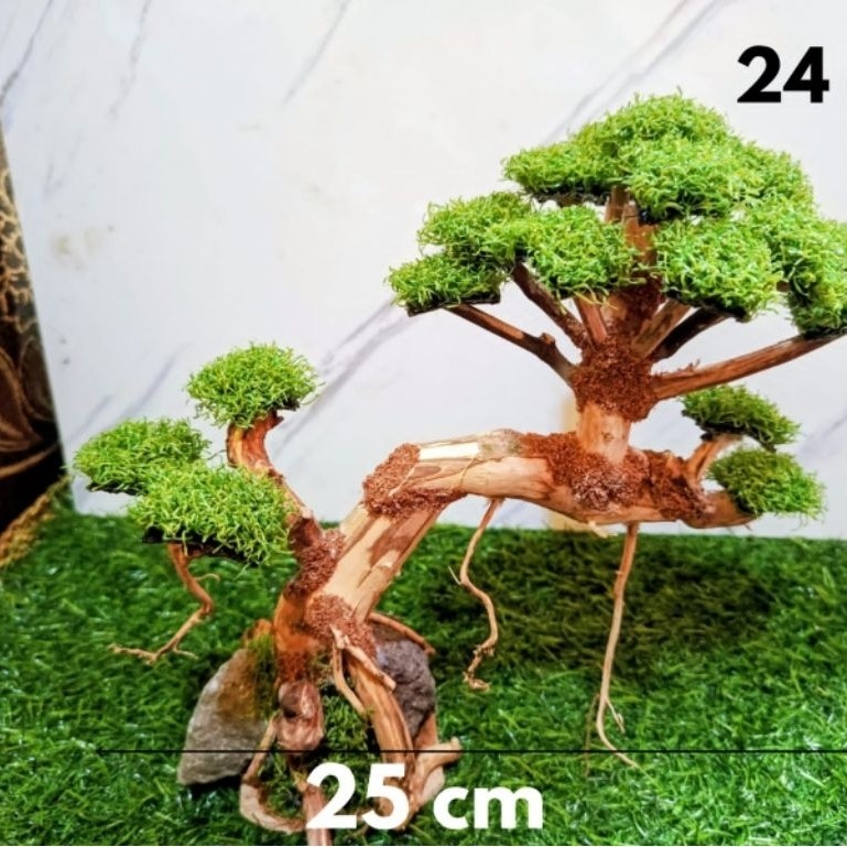 bonsai sintetis aquascape