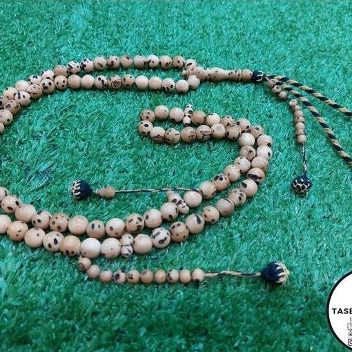 Tasbih oud sholib Bulat Fawaniyah Asli mesir