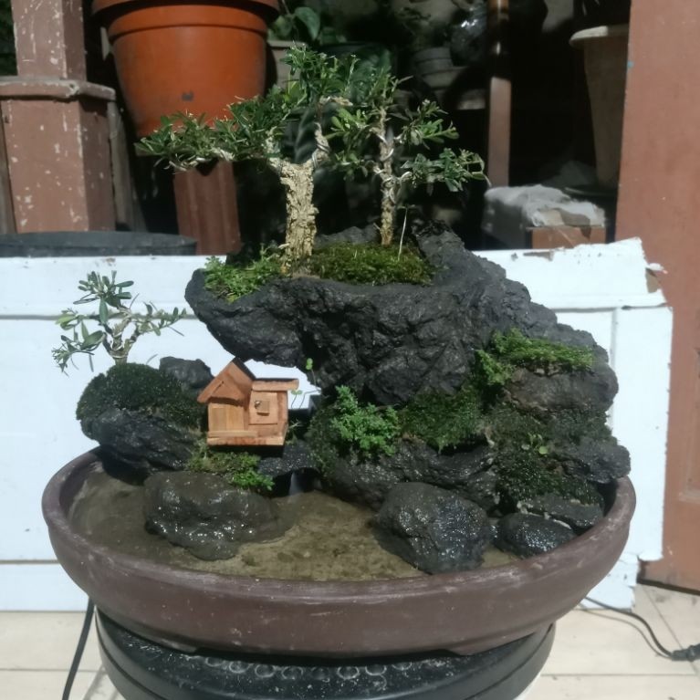 link co bonsai panorama air terjun