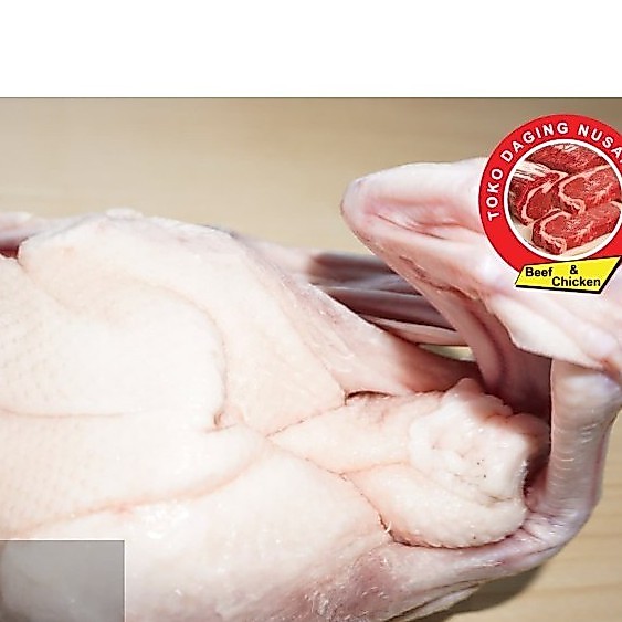 BEBEK FROZEN