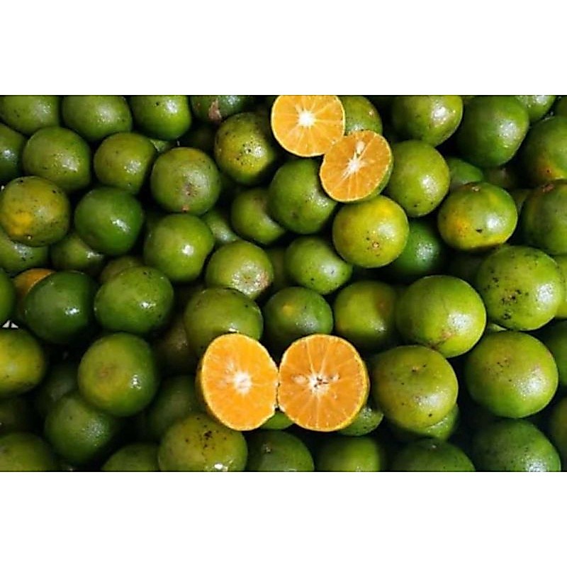 Buah Jeruk Peras Jawa 500 gram SAYUR GEDEBAGE PRAKTIS BANDUNG