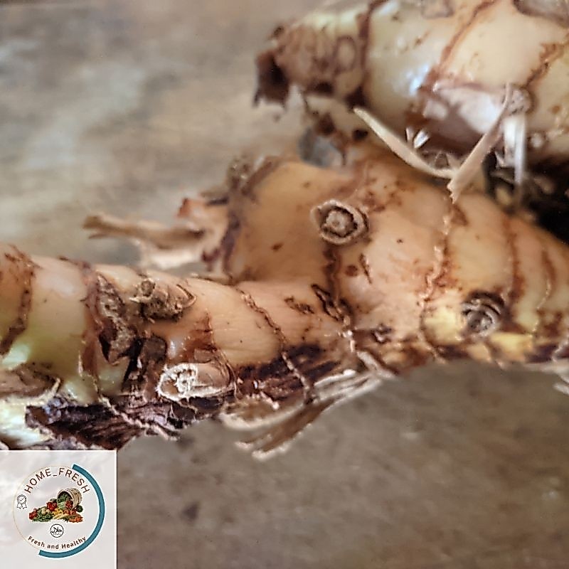 Lengkuas Laos Bumbu Dapur Segar