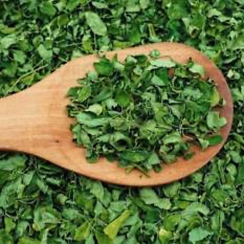 Daun Kelor Kering 1kg / Kelor kering Organik / food gread