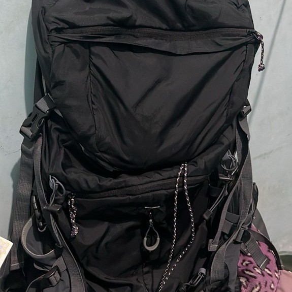 Reptil bunglon 45L