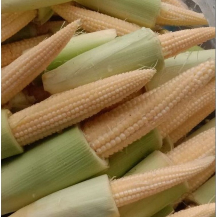JANTEN BABY / JAGUNG MUDA KUPAS PER 250g